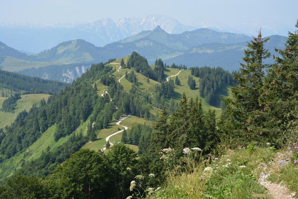 Appart Weisse Urlauben Am Wolfgangsee Sankt Gilgen Εξωτερικό φωτογραφία